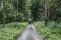 Beautiful woman hiker standing on forest trail looking away. Female on hike in nature spooky mystical forests Royalty Free Stock Photo