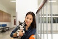 Beautiful woman holding Chihuahua dog at vet hospital. Royalty Free Stock Photo
