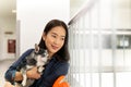 Beautiful woman holding Chihuahua dog at vet hospital. Royalty Free Stock Photo