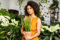 Beautiful woman holding a pot with sansevieria Royalty Free Stock Photo