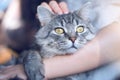 Smiling woman at home holding her lovely fluffy cat.  Pets and lifestyle concept. Royalty Free Stock Photo