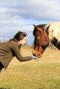 Woman and Horse Best Friend Connection Royalty Free Stock Photo