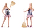 The beautiful woman in housecleaning concept