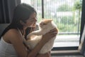 Beautiful woman hug exotic shorthair cat Royalty Free Stock Photo