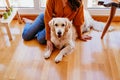 beautiful woman hugging her adorable golden retriever dog at home. love for animals concept. lifestyle indoors Royalty Free Stock Photo