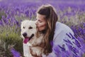 Beautiful woman kissing her golden retriever dog in lavender fields at sunset. Pets outdoors and lifestyle Royalty Free Stock Photo