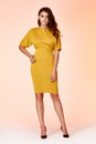 Beautiful woman lady spring autumn collection glamor model business office fashion clothes wear casual style yelow color suit