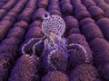 Beautiful woman in lavender field with treble clef and piano throne Royalty Free Stock Photo