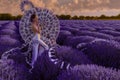 Beautiful woman in lavender field with treble clef and piano throne Royalty Free Stock Photo