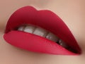 Beautiful Woman Lips with Fashion Lipstick Makeup. Cosmetic, Fashion Make-Up Concept. Beauty Lip Visage. Passionate kiss Royalty Free Stock Photo