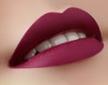 Beautiful Woman Lips with Fashion Marsala Vine Color Lipstick. Cosmetic, Make-Up Concept. Beauty Visage. Passionate kiss Royalty Free Stock Photo