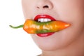 Beautiful woman lips with hot paprika Royalty Free Stock Photo