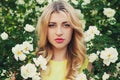 Beautiful woman with long curly hair smells white roses outdoors, closeup portrait of sensual girl face Royalty Free Stock Photo