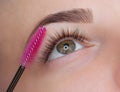 Beautiful Woman with long eyelashes in a beauty salon. Royalty Free Stock Photo