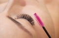 Beautiful Woman with long eyelashes in a beauty salon. Royalty Free Stock Photo