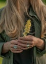 Beautiful woman with long hair holding flower. Hands with rings stylish boho accessories. No focus Royalty Free Stock Photo