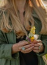 Beautiful woman with long hair holding flower. Hands with rings stylish boho accessories. No focus Royalty Free Stock Photo