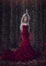 Beautiful Woman With Long White Hair Posing In A Luxurious Red Dress With A Long Train Standing In A Autumn Pine Forest