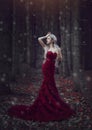 Beautiful Woman With Long White Hair Posing In A Luxurious Red Dress With A Long Train Standing In A Autumn Pine Forest