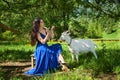 A beautiful woman makes a manicure outdoors in the Altai mountains, a goat stands nearby and looks. Tourism concept