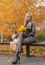 Beautiful woman with perfect legs sitting in the autumn park with a cute Shih-Tzu dog Royalty Free Stock Photo