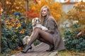 Beautiful woman with perfect legs sitting in the autumn park with a cute Shih-Tzu dog Royalty Free Stock Photo