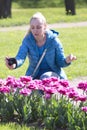 Beautiful woman photographs a flower bed with spring blooming tulips Royalty Free Stock Photo