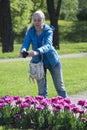 Beautiful woman photographs a flower bed with spring blooming tulips Royalty Free Stock Photo