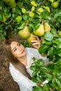 A beautiful woman picking the green pears in Pear garden