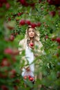 A beautiful woman picking the red apples in apple orchard Royalty Free Stock Photo