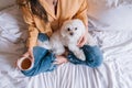 beautiful woman playing with her cute maltese dog at home. Drinking tea or coffee on bed. Relax and Lifestyle Royalty Free Stock Photo