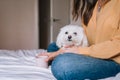 beautiful woman playing with her cute maltese dog at home. Drinking tea or coffee on bed. Relax and Lifestyle Royalty Free Stock Photo