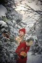 Beautiful woman in red with brown fur cape enjoying the winter scenery in forest. Blonde girl posing under snow-covered trees Royalty Free Stock Photo