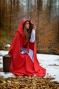 beautiful woman with red cloak and suitcase in the woods Royalty Free Stock Photo