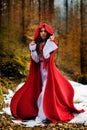 Beautiful woman with red cloak in the woods Royalty Free Stock Photo