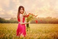 Beautiful woman in a red dress with a bouquet of poppies in a wheat field at sunset, warm toning, happiness and a healthy lifestyl Royalty Free Stock Photo