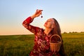 Beautiful woman in red dress holding basket and eating strawberry. Female model posing with red berry on the green field during Royalty Free Stock Photo