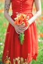 Beautiful woman in red dress standing in a poppy field holding flowers Royalty Free Stock Photo