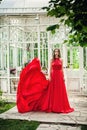 Beautiful Woman in Red Evening Gown Royalty Free Stock Photo