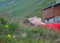 Beautiful woman relaxing in the grass