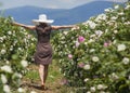 Beautiful woman in retro style polka dot dress and hat walking through roses field. Bulgaria Royalty Free Stock Photo