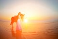 Beautiful woman riding a horse at sunset on the beach. Young girl with a horse in the rays of the sun by the sea. Royalty Free Stock Photo