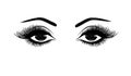 Beautiful woman`s eyes close-up, thick long eyelashes, black and white vector illustration Royalty Free Stock Photo