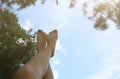 Beautiful woman`s legs on the sky background. Natural ecological photo. Perfect travel and girl`s rest day outdoors. Pine trees Royalty Free Stock Photo