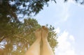 Beautiful woman`s legs on the sky background. Natural ecological photo. Perfect travel and girl`s rest day outdoors. Pine trees Royalty Free Stock Photo