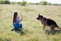 Beautiful woman schools a German Shepherd Dog friend Royalty Free Stock Photo