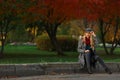 Beautiful woman sits on the road in autumn park. Royalty Free Stock Photo