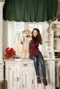 Beautiful woman sitting retro tree dresser. hugs, cuddles with her akita inu dog Royalty Free Stock Photo