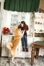 Beautiful woman sitting retro tree dresser. hugs, cuddles with her akita inu dog Royalty Free Stock Photo