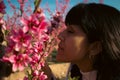 Woman smells the pretty pink peach blossoms Royalty Free Stock Photo